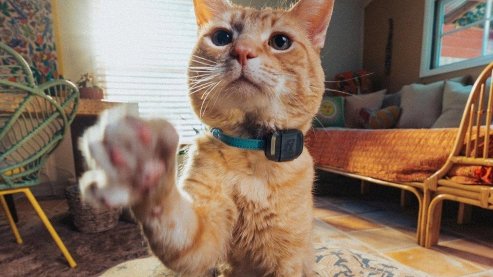(183210)